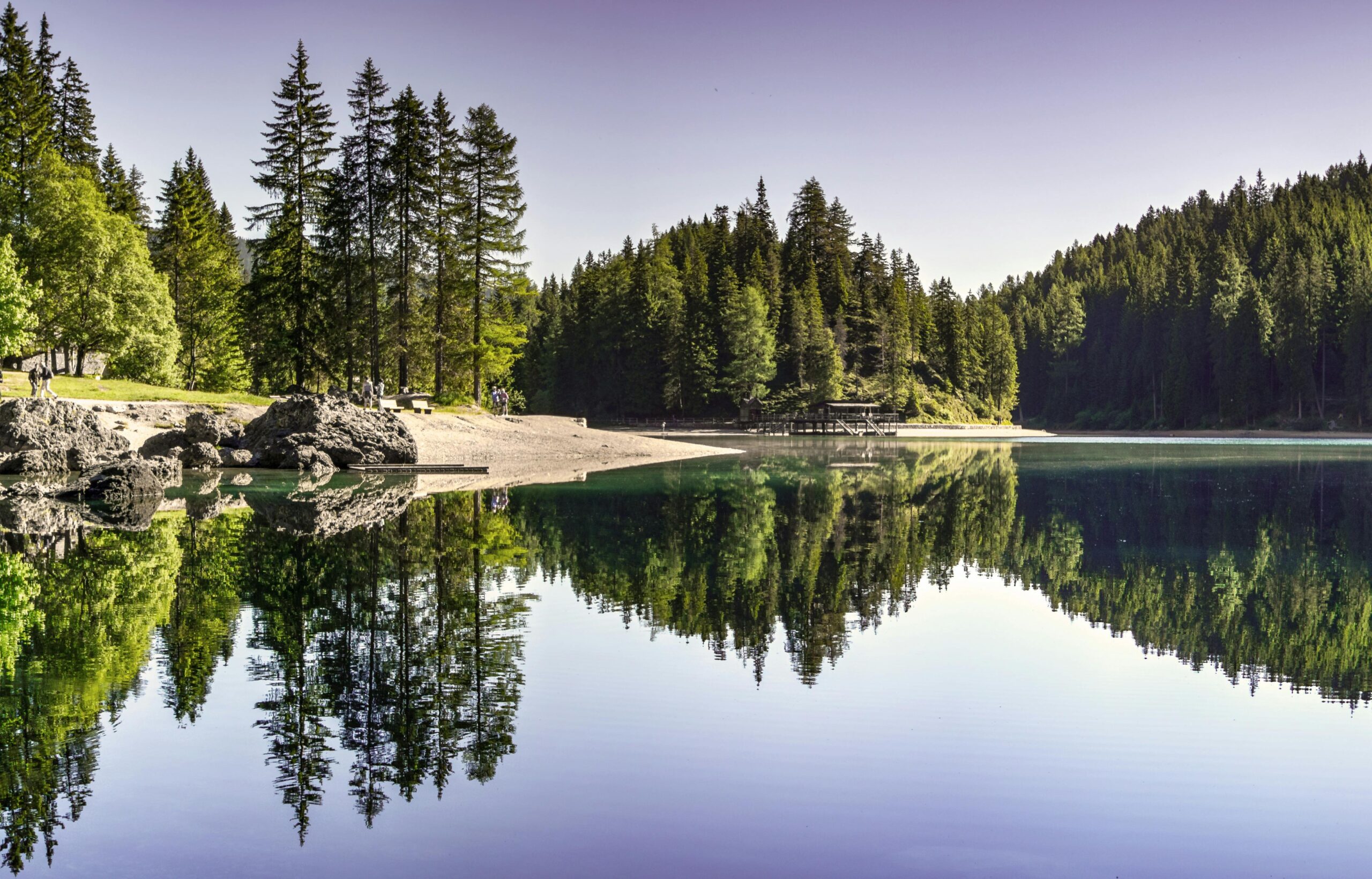 Tranquil summer view of a forest lake with clear reflections and evergreen trees.